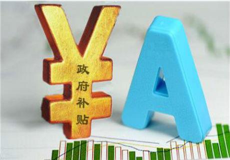 企業(yè)補(bǔ)貼項(xiàng)目 企業(yè)補(bǔ)貼項(xiàng)目