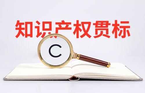 小微初創(chuàng)企業(yè)怎么申請知識產(chǎn)權貫標？